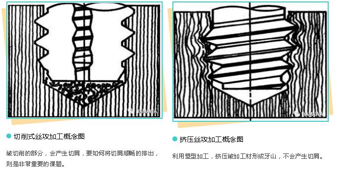 無(wú)削絲攻攻牙的特性與過程 